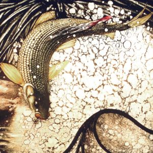 Vitrail Animalier - poissons