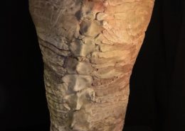 Céline Faille, céramiste plasticienne