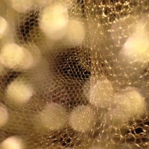 Tania Moscicki, Création Cléofée, créatrice de bijoux et luminaires